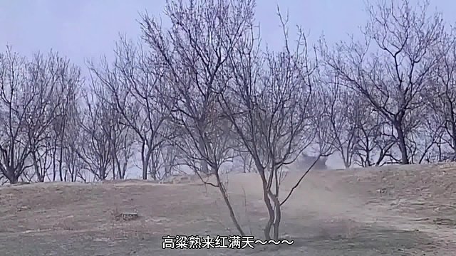 你們哥三別這樣我害怕