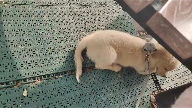沒人要沒工作丟人不