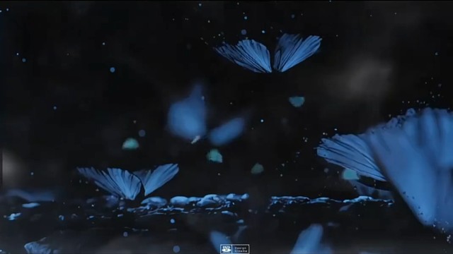 同步音律