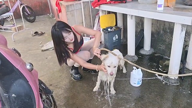 天氣太熱 給洗澡