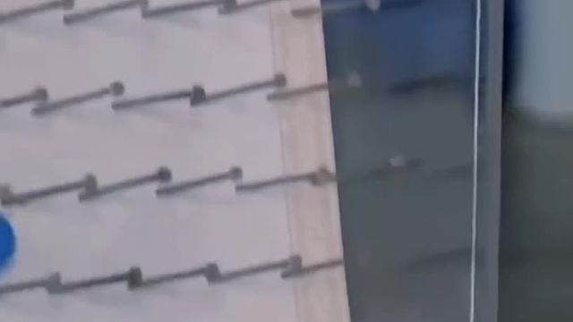 白鹿這期又白錄了