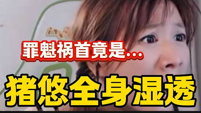 豬悠看自己被潑身上全濕的罪魁禍?zhǔn)祝瑳]想到竟是他？
