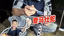 【童錦程】愛(ài)馬仕蛇