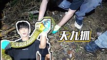 【童錦程】天九抓