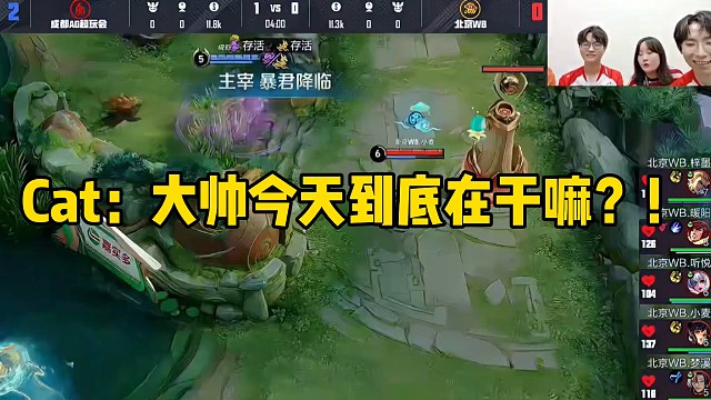 Cat：大帥今天到底在干嘛？！