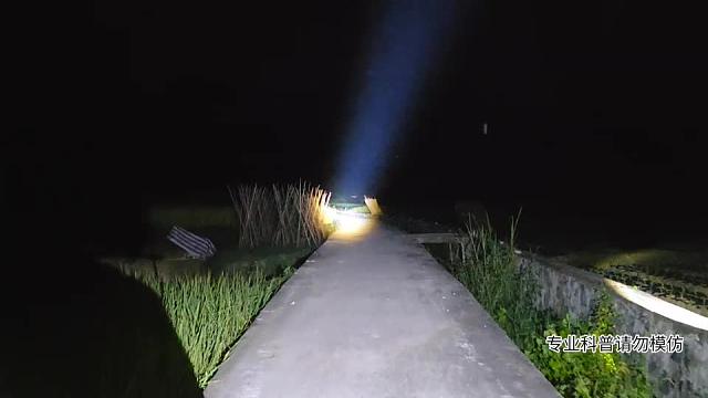 貴州行新物種豹貓?。。?！
