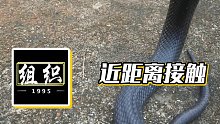 【小酷】近距離接觸