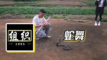 【小酷】蛇舞