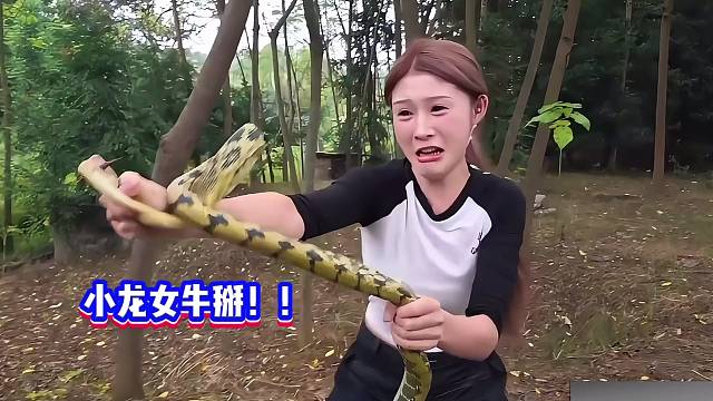 小酷：小龍女徒手抓蛇她是真勇！