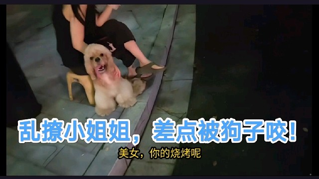 【小酷】亂撩小姐姐，差點(diǎn)被小姐姐的狗子咬！