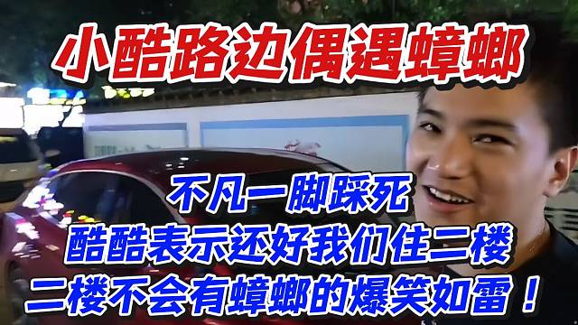 小酷路邊偶遇蟑螂！不凡一腳踩死酷酷表示還好我們住二樓二樓不會(huì)有蟑螂的爆笑如雷