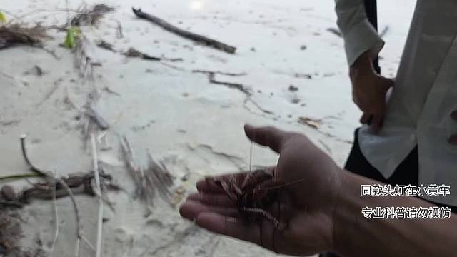 剛到印尼第一天