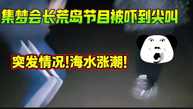 集夢(mèng)會(huì)長(zhǎng)與阿布參加荒島節(jié)目被嚇得連連尖叫，遇突發(fā)情況？