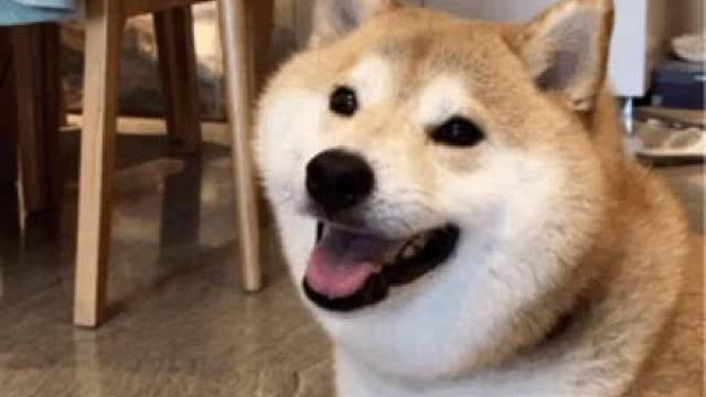 坤坤正式牽手PUBG，特工k已就位！