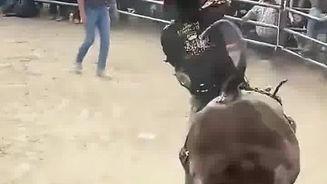 甩不動(dòng)了