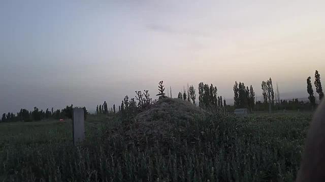 騎馬迷路求助方向