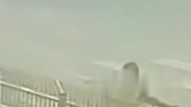 盲人女孩上班途中過(guò)馬路，小車(chē)斑馬線前沒(méi)有禮讓沖了過(guò)來(lái)，導(dǎo)盲犬舍命救主擋在女孩身前