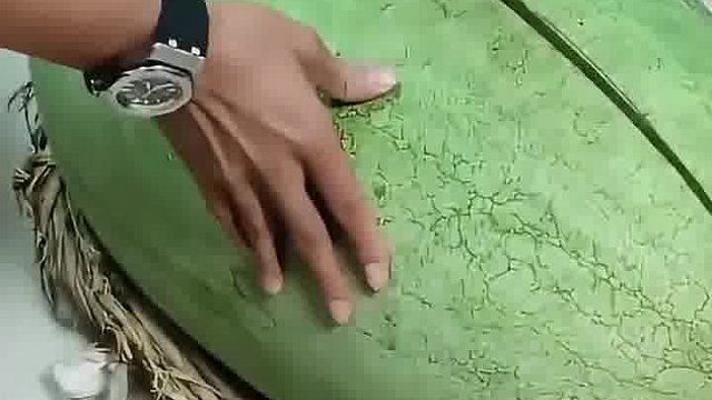 自家種的大西瓜
