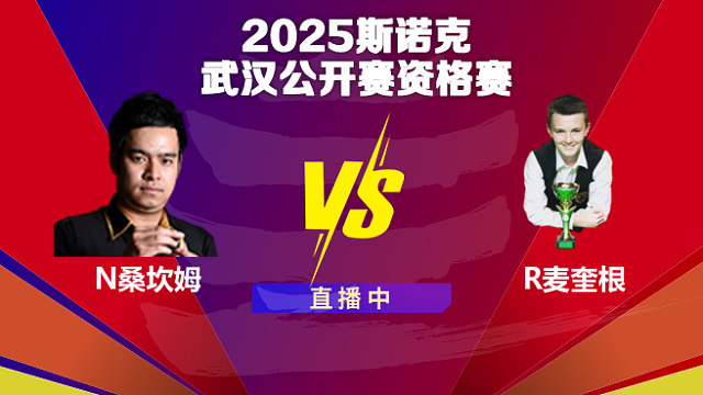 諾鵬·?？材? VS  羅比·麥奎根 2025斯諾克武漢公開賽資格賽 清流