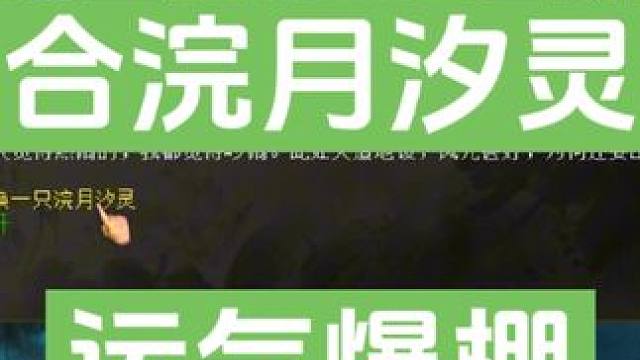 合一個(gè)成本不低，洗一下就200多。這運(yùn)氣真好。