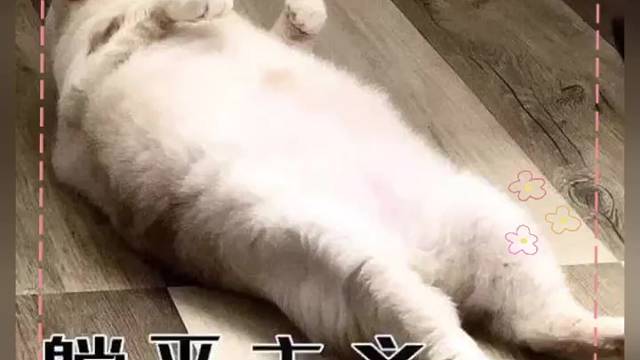樓上阿拉伯?dāng)?shù)字、、8個(gè)、可以請假休息