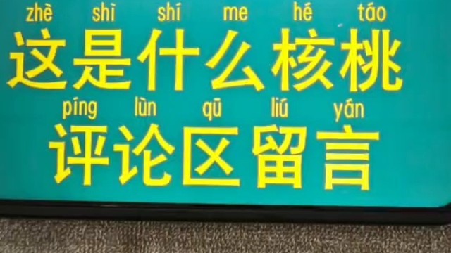 你今天盤的什么？