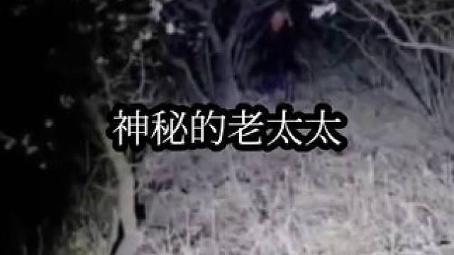 #荒山野嶺 #戶外探險(xiǎn) #走夜路