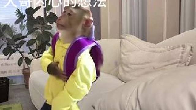 不變的主播 流水的大哥#主播和大哥 #直播間那些事