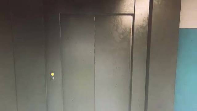 實驗室巨物一條
