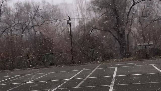 深秋的雪花