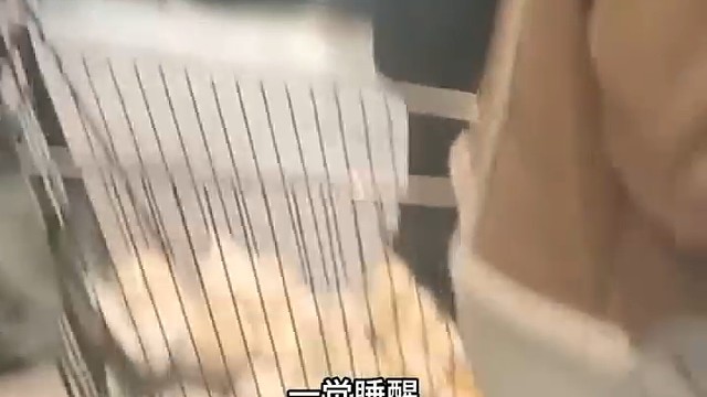 國貨