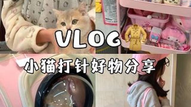 今天也是按時(shí)下班嘍#拆快遞vlog #記錄貓咪日常 #我的日常vlog #治愈系