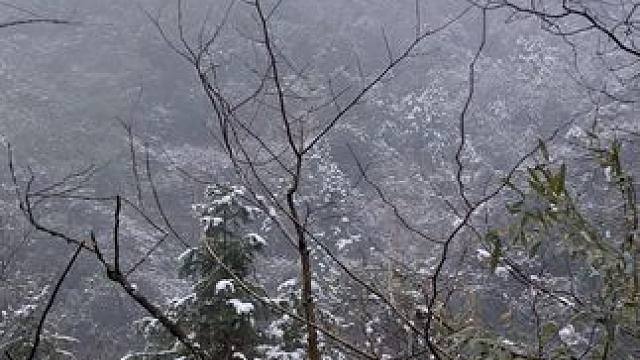 今年也算玩上雪了～ #南方的雪 #下雪了