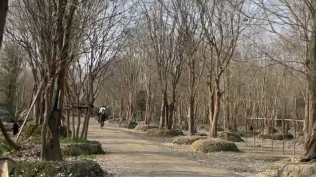 技術(shù)越來越熟練了