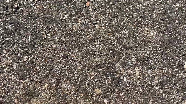 樓梯滾瓶子爆破解壓時刻