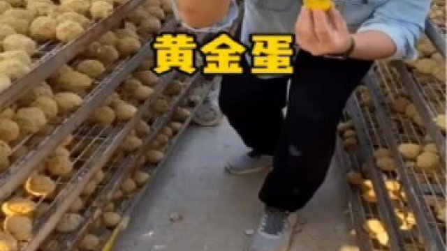 這蛋像黃金蛋一樣你們吃過嗎