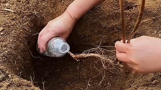 礦泉水才多少年的歷史
