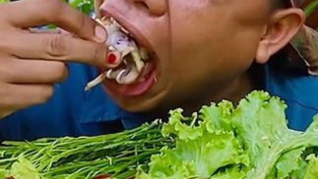 內(nèi)容啟發(fā)搜索~