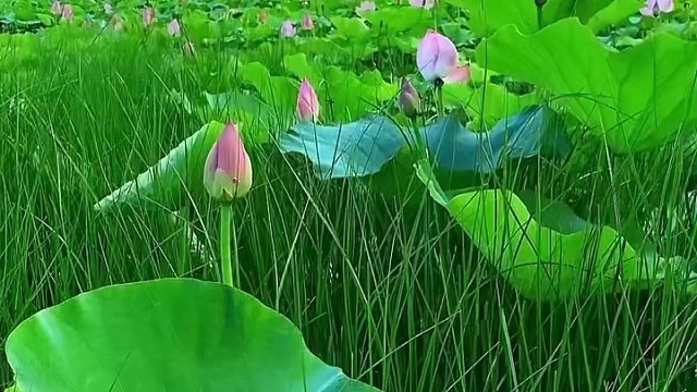 心情放松