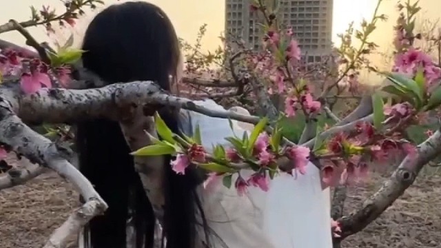 春暖花開(kāi)
