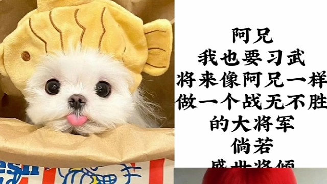 哥哥