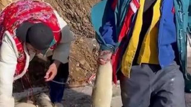 #捕魚達(dá)人