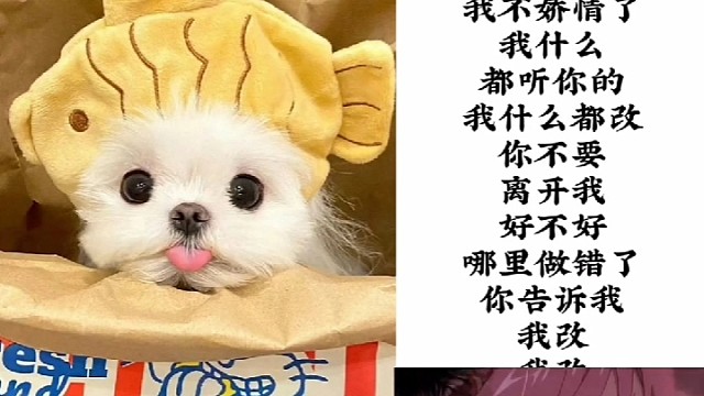 嘿