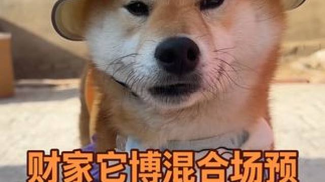 財(cái)家混合場預(yù)告(一）新品篇