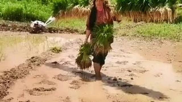 山卡卡里的農(nóng)村大姐學(xué)費(fèi)了開直播每天滿滿您還在恐播怕播不敢開播開播了不知說什么嗎#記錄真實(shí)生活 #農(nóng)村