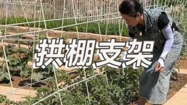 玻璃纖維桿，操作簡單經(jīng)久耐用，快選購吧！ #拱棚支架 #爬藤 #爬藤架 #豆角架 #黃瓜架