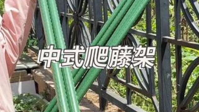 又到瓜類作物爬藤的時候了，你們的爬藤架準備好了嗎，推薦大家使用這個塑鋼的爬藤架，美觀又結(jié)實！#蔬菜種