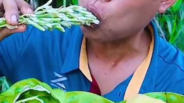 午餐要吃飽 #泰國美食 #美食 #戶外美食 #內(nèi)容啟發(fā)搜索