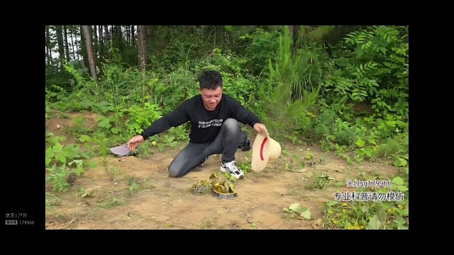 抓蛇