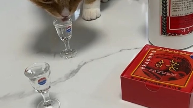 哈哈哈哈，這一跳可笑死我了[捂臉]
